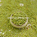 Green Mung Bean (Prime quality dried),sprouting grade mung beans,mung beans for sprouting